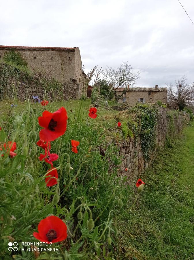 Ferme De Fenivou Βίλα Boulieu-les-Annonay Εξωτερικό φωτογραφία