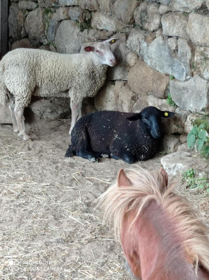 Ferme De Fenivou Βίλα Boulieu-les-Annonay Εξωτερικό φωτογραφία